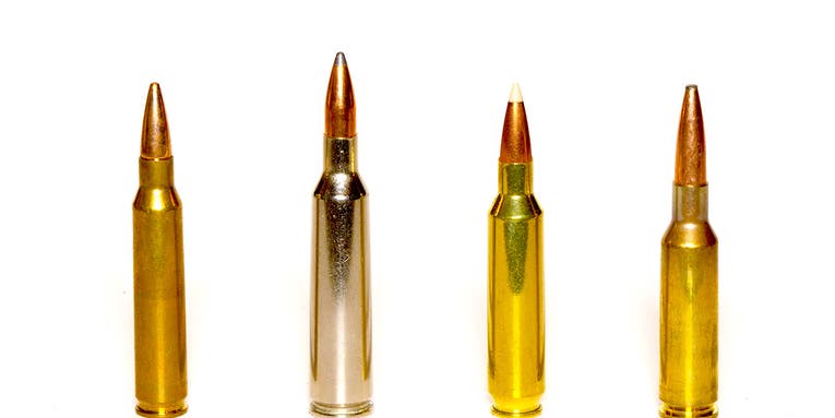 The Best .22 Caliber Cartridges (Yes, .22) for Deer Hunting