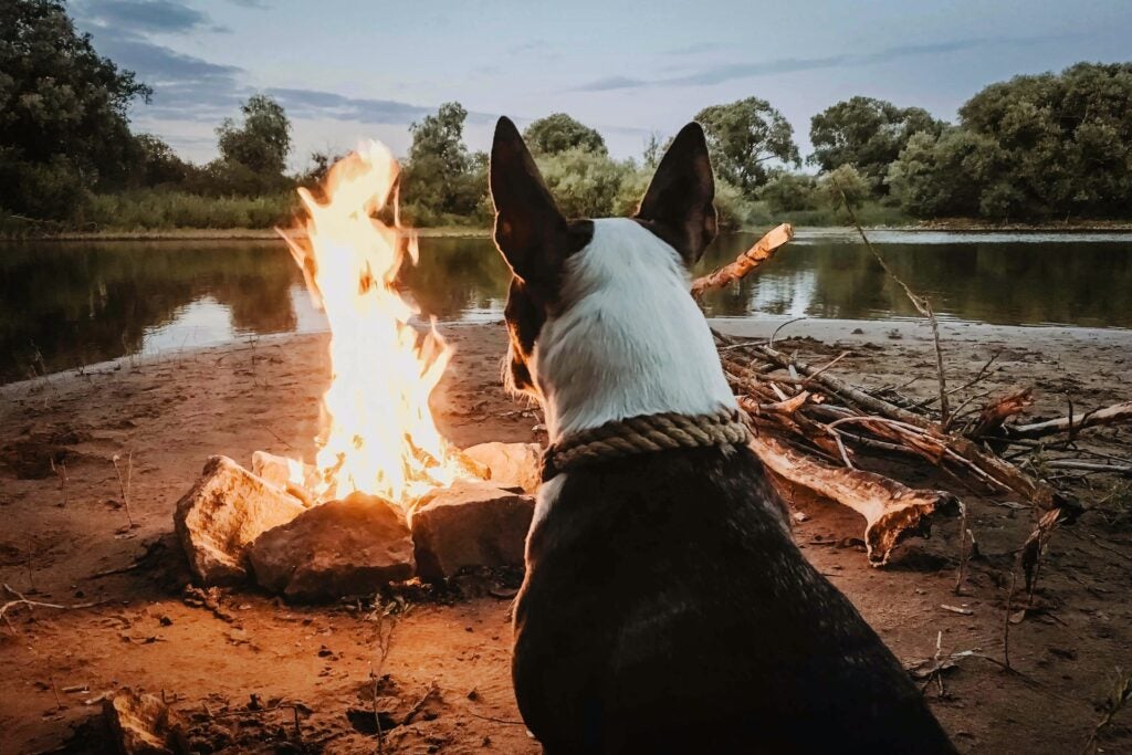 The Perfect Campfire