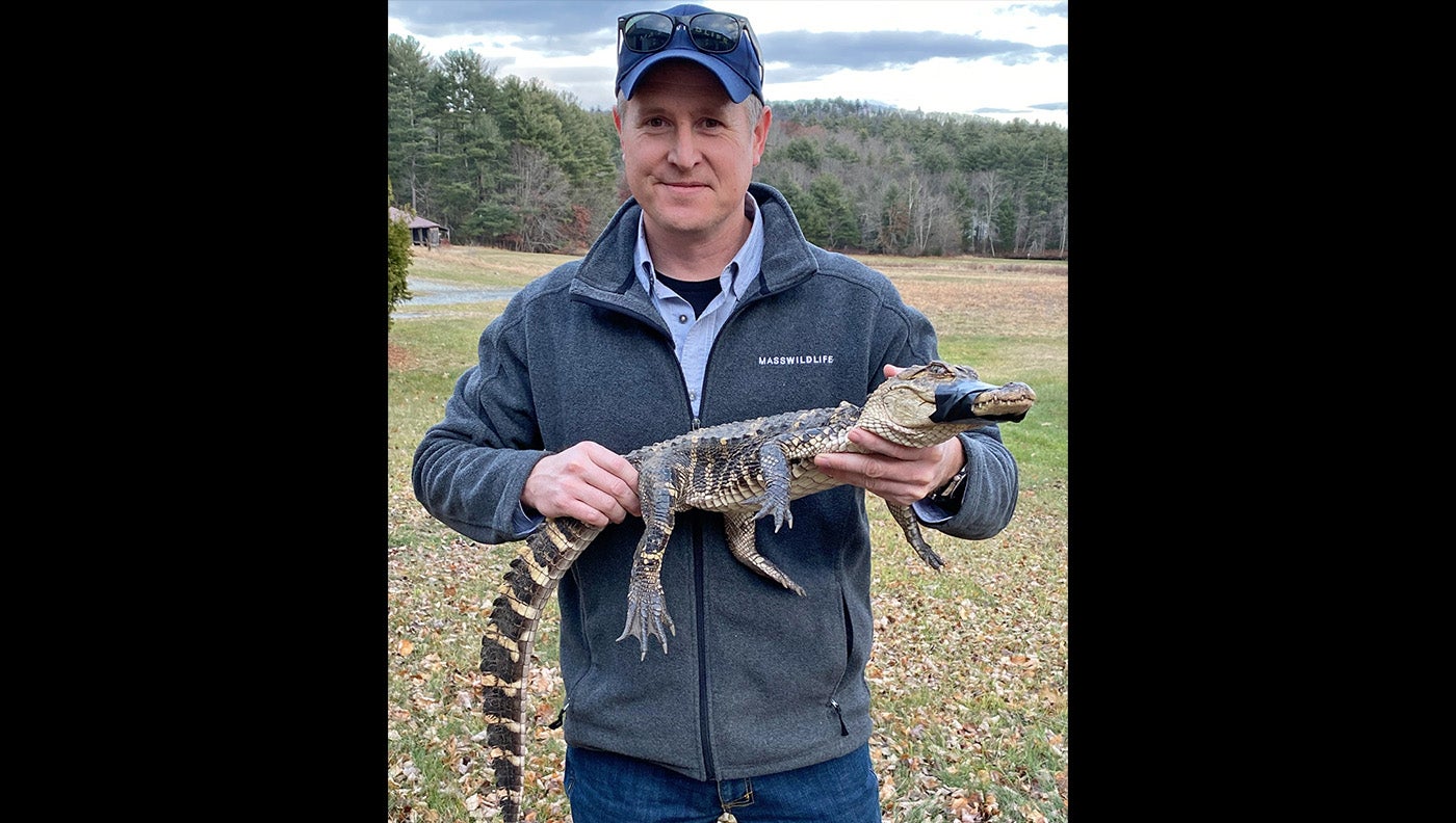 man in sweater holds small alligator