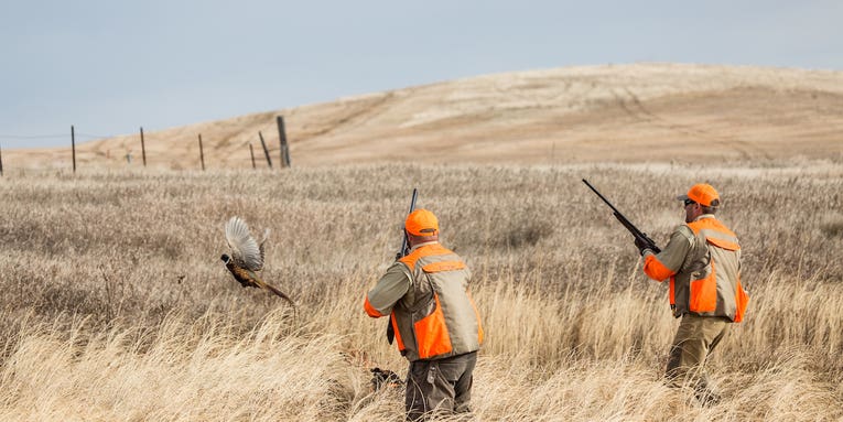 5 Bird Hunting Tips From a Master Wingshooter
