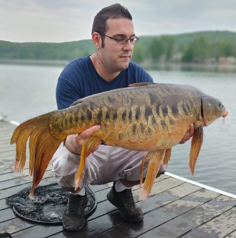 man holds large carp with big fins