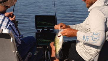 Video Game Crappie Fishing