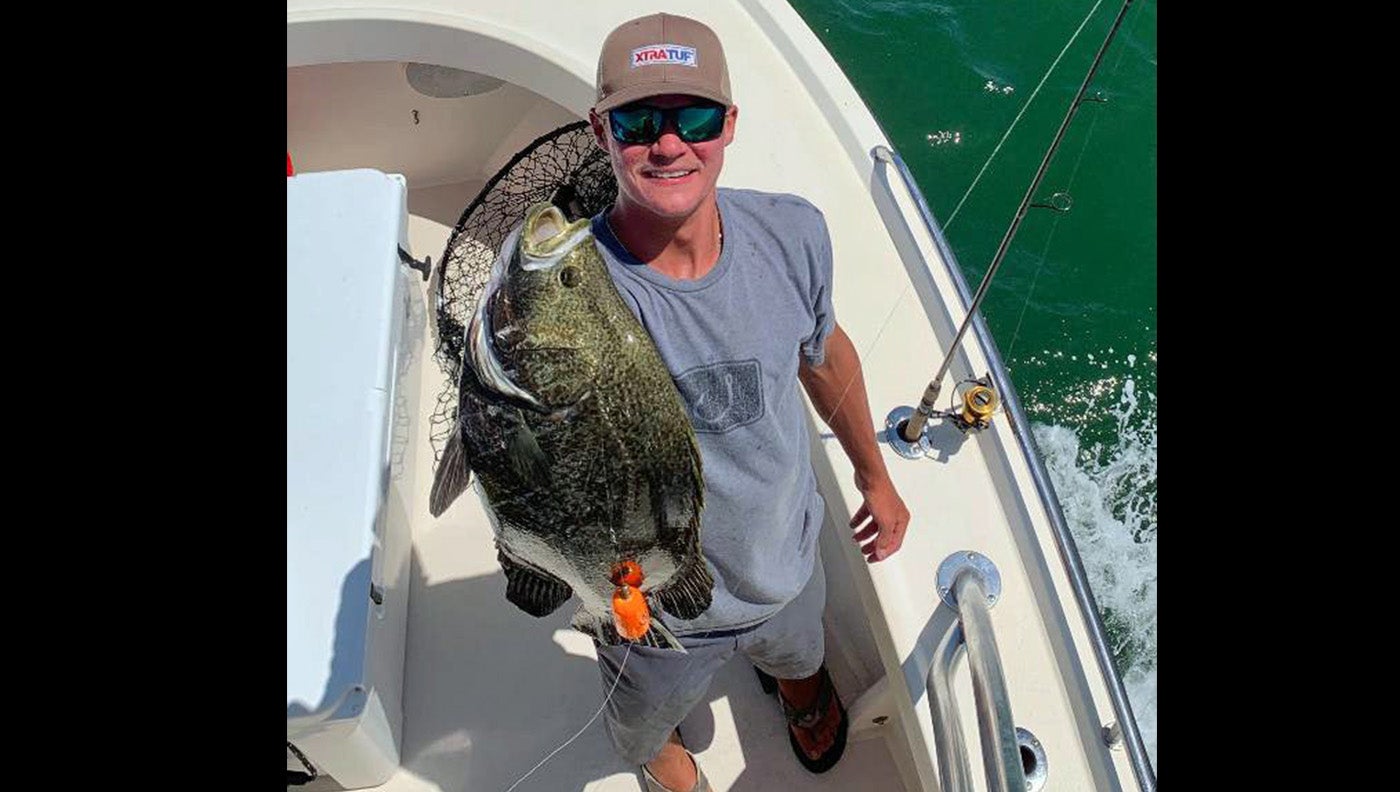 man holds tripletail on boat
