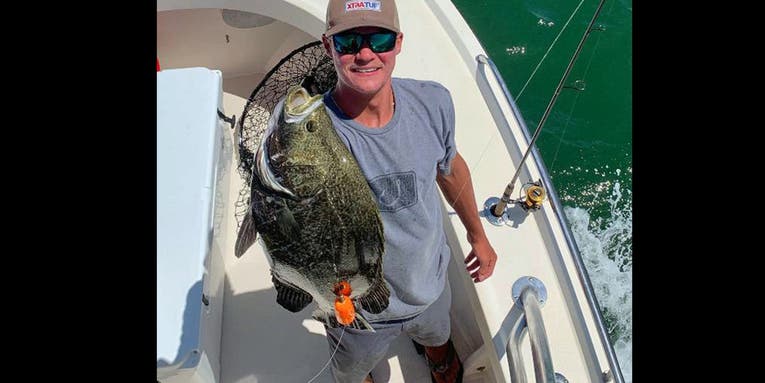 Virginia Angler Boats First-Ever State-Record Tripletail