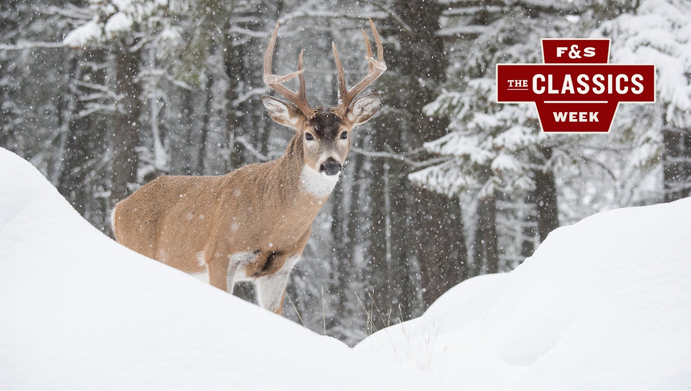 photo of a whitetail buck in snow