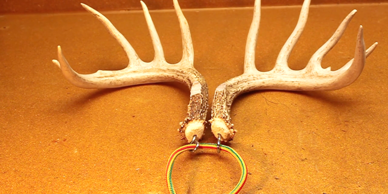 What’s The Best Way to Carry Rattling Antlers? A Bungee-Cord Rig