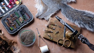 Video: How to Preserve a Squirrel Pelt For Fly Tying