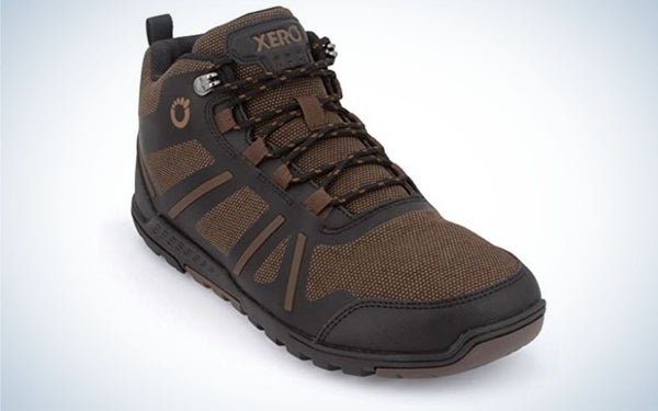 DayLite Hiker Fusion are the best lightweight hiking boots.