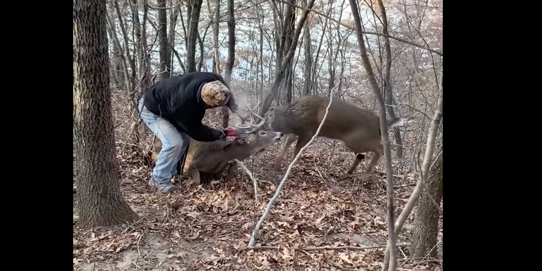 Video: Wisconsin Hunter Frees Two Locked-Up Whitetail Bucks With Angle Grinder