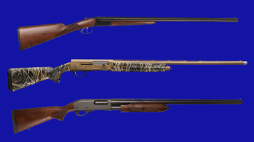 photo collage of new shotguns