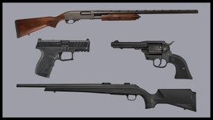 photo collage of budget guns for 2022