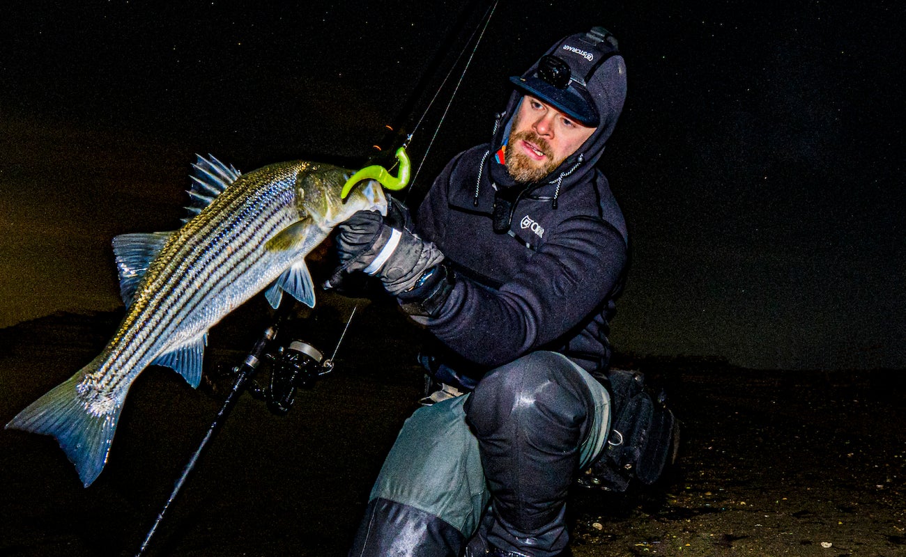 Angler holding a striped bass in the winter.