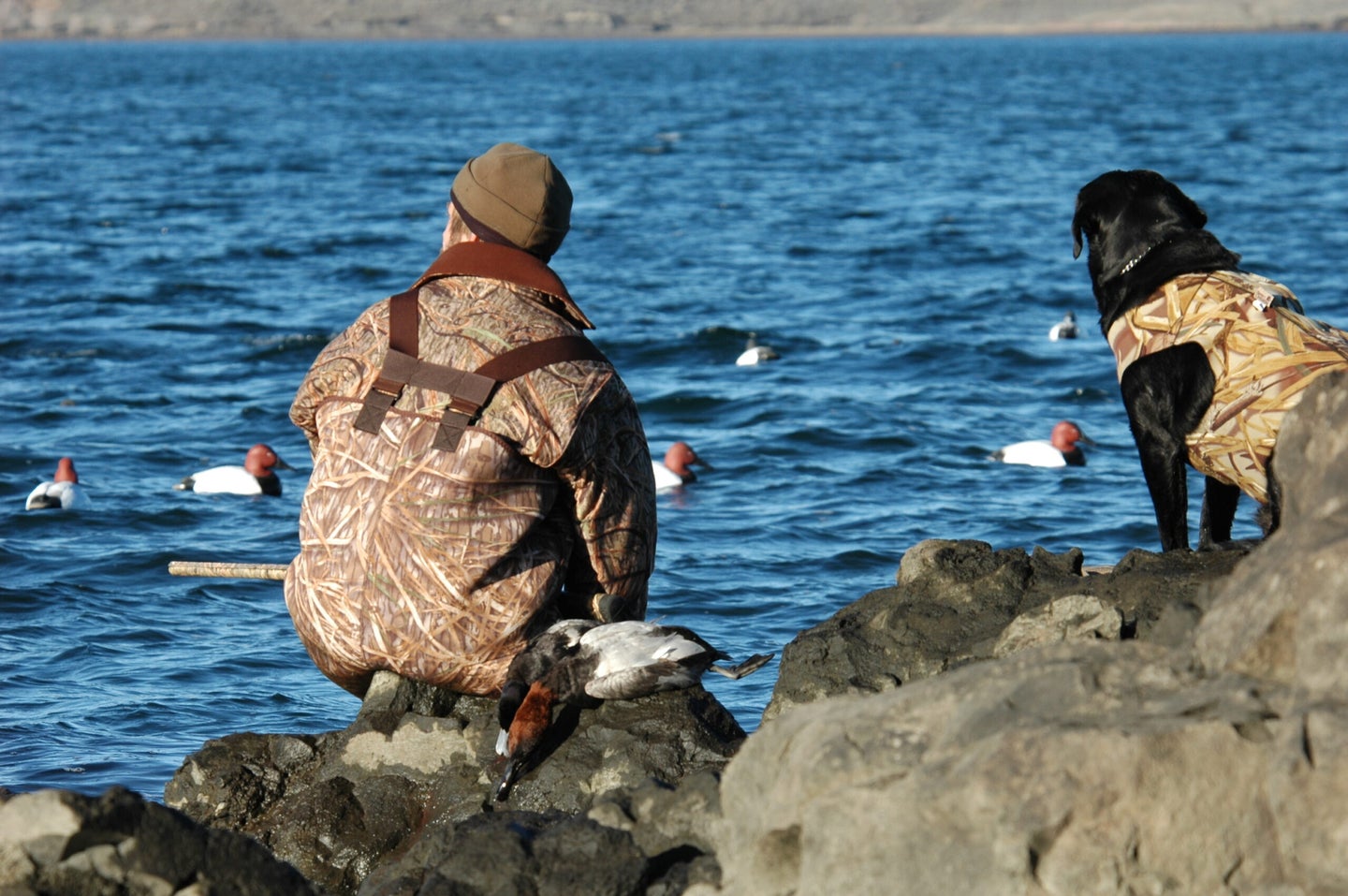 Duck hunter and dog hunting from the rocks.