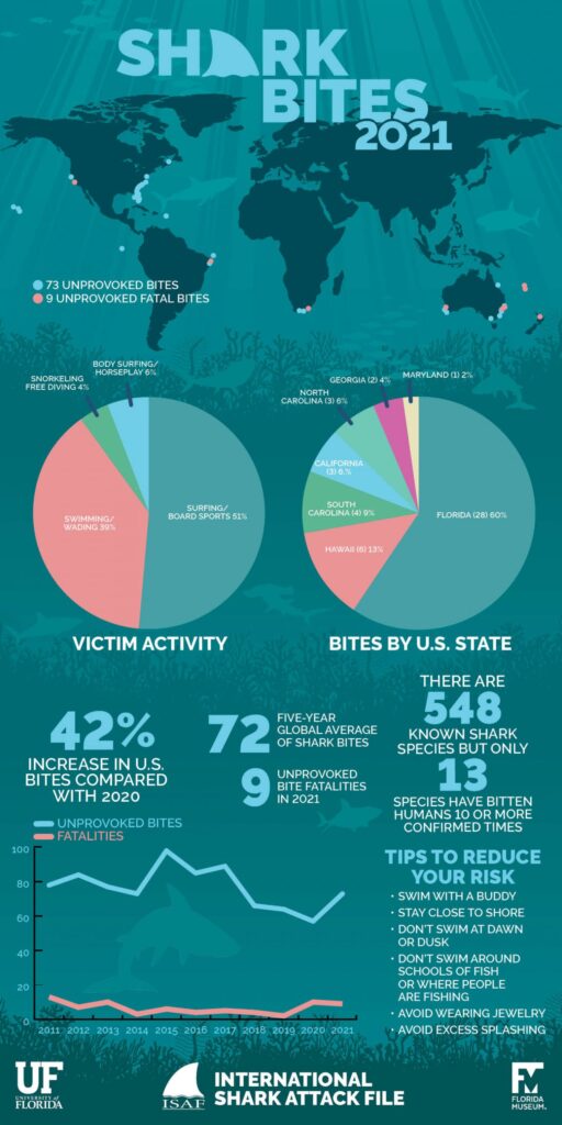shark attack infographic