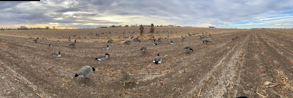 photo of goose hunting spread