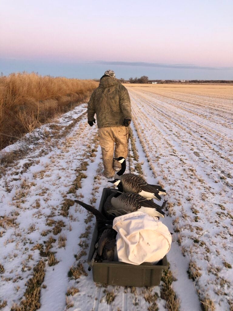photo of a hunter pulling a sled of decoys
