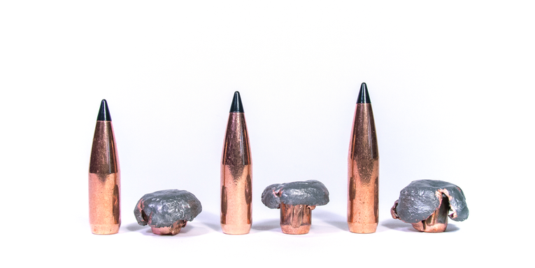 What You’ve Been Told About a Bullet’s Sectional Density and Penetration Is Wrong
