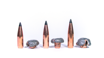 photo of three bullets unfired and fired