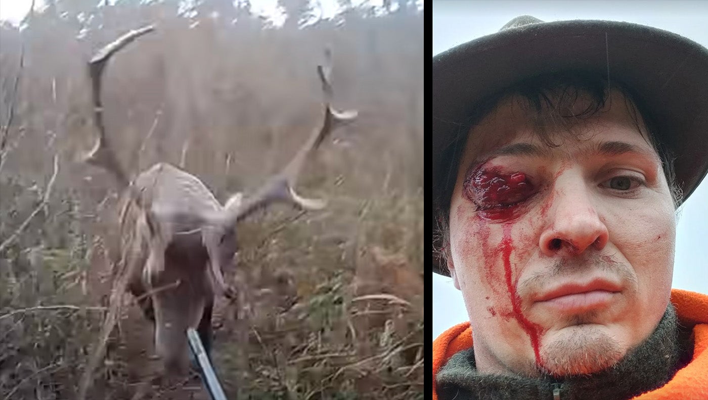 red stag charges man (left) man with bloody eye (right)