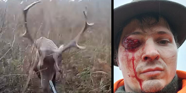 Video: Red Stag Charges and Gores Polish Hunter During Deer Drive