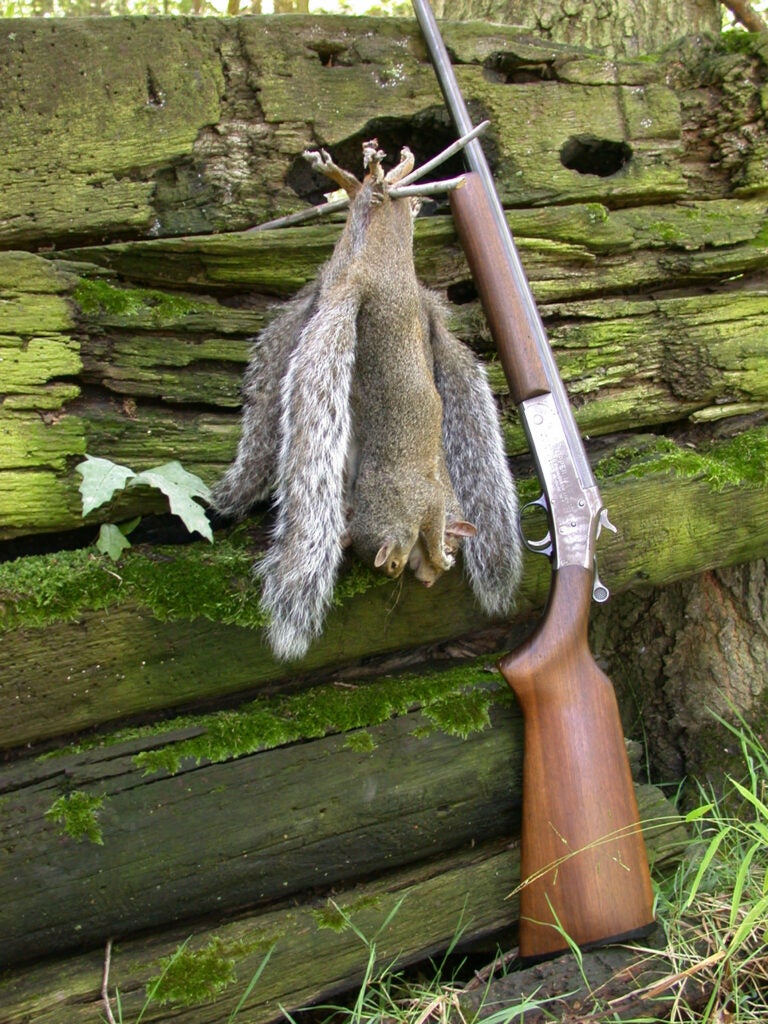 A brace of squirrels next to a single-shot shotgun.