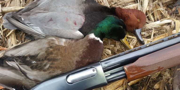 Suddenly Everyone Wants a Sub-Gauge Waterfowl Gun. I’ll Stick with My 12, Thanks