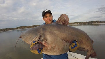 Q&A: Fishing Guide and Former Record Holder Zakk Royce on Monster Blue Catfish
