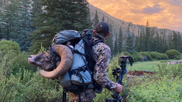 The 6 Best Hunting Backpacks of 2024