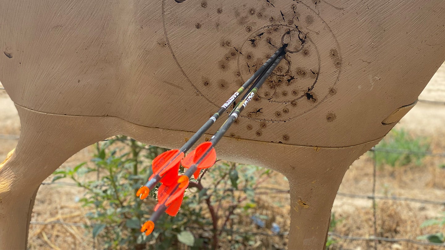 photo of arrows in a target