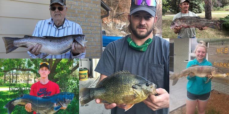 Nebraska Anglers Landed 6 State Record Fish in 2021