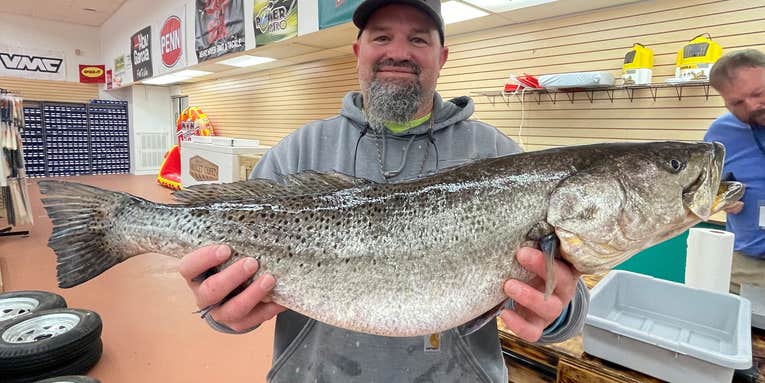Angler Breaks Longstanding NC State Record With 12-Pound, 8-Ounce Speckled Trout