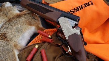 3 Experts Share Their Best Secrets for Bagging More Late-Season Rabbits