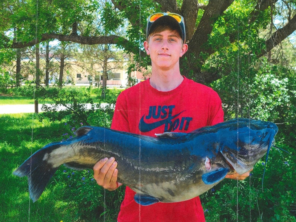 photo of state record channel catfish