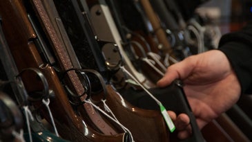 Spike in U.S. Gun Sales Brings $1.1 Billion in Taxes for Conservation