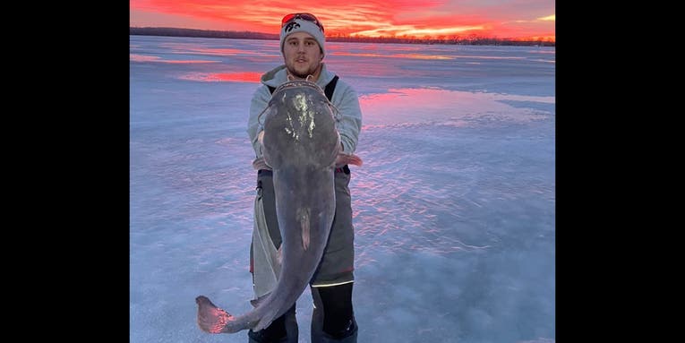Iowa Angler Catches Huge Flathead Catfish Through the Ice