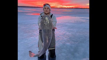 ice angler standing on the ice in front of a colorful sunset holding a large flathead catfish he caught through the ice at Lake Manawa