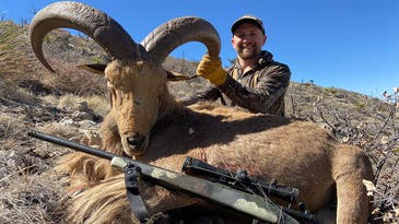 A Texas Aoudad Hunt Can Put Your Long-Range-Shooting Skills to the Test