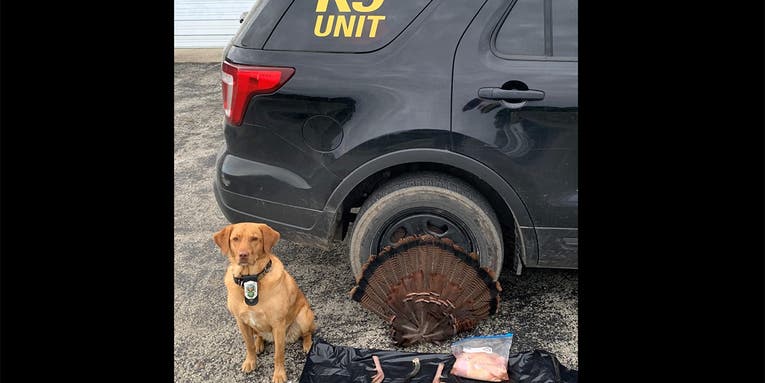 K-9 Officer Helps Catch Ohio Turkey Poacher