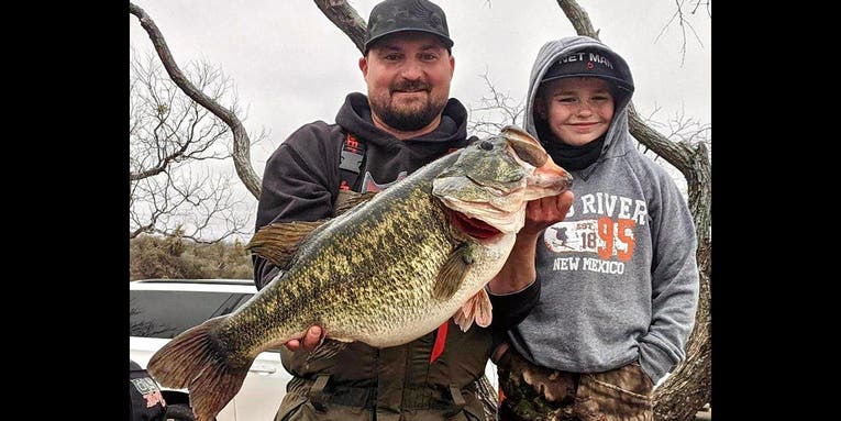 Watch: Angler Weighs in Massive 17-Pound O.H. Ivie Lake Record Largemouth Bass