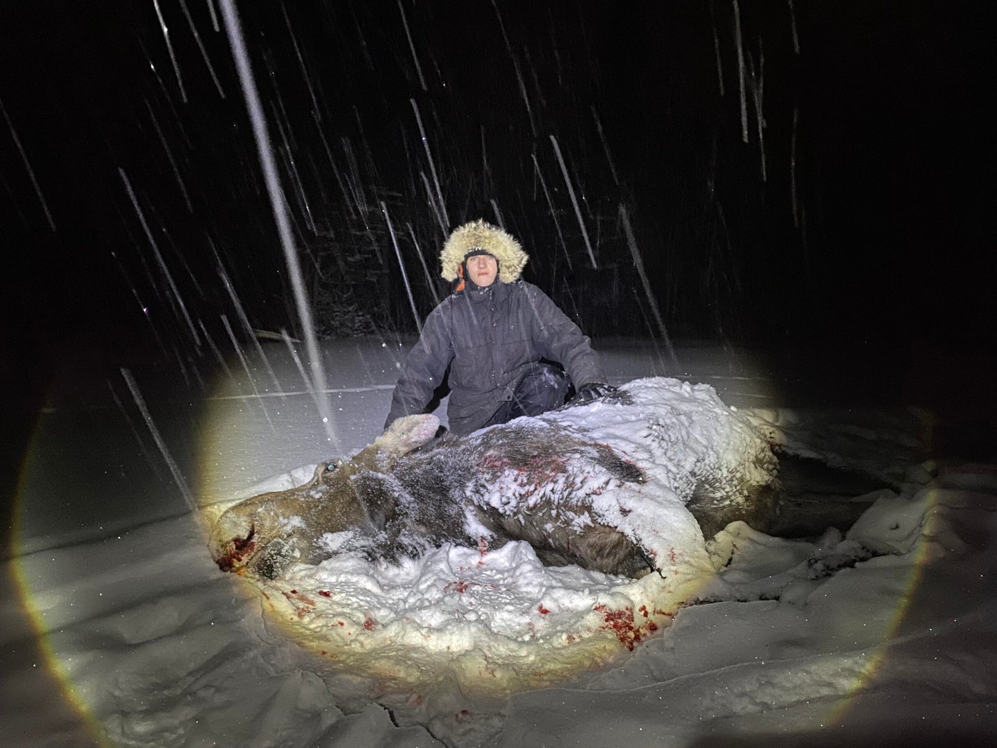boy in puffy jacket with dead moose at night