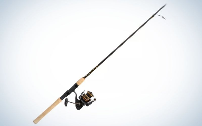 Best_Fishing_Rod_and_Reels_Combos_Basspro