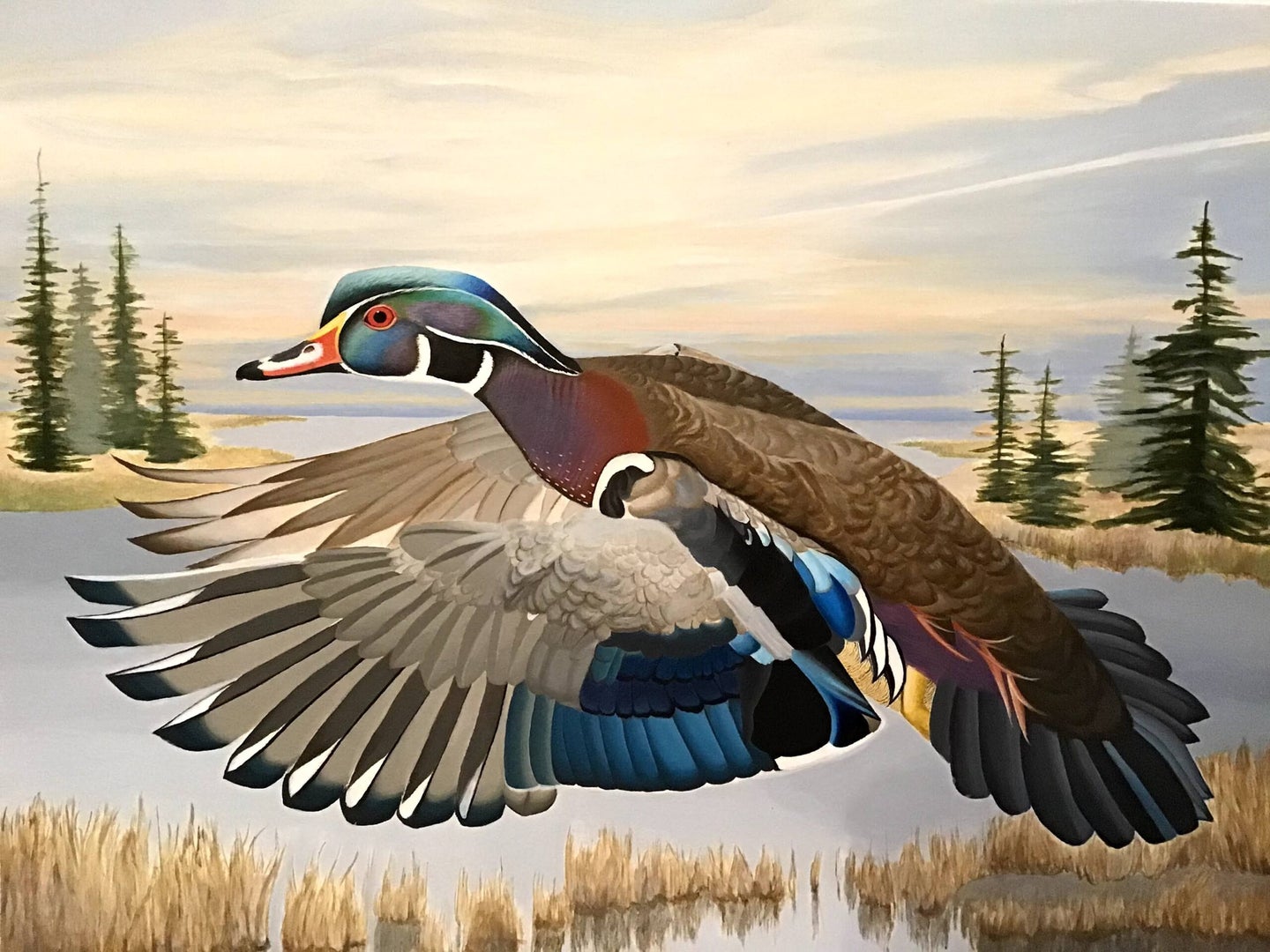 Sophie Archer, 17, from Old Lyme, Connecticut,  was the winner of last year's duck stamp competition. 