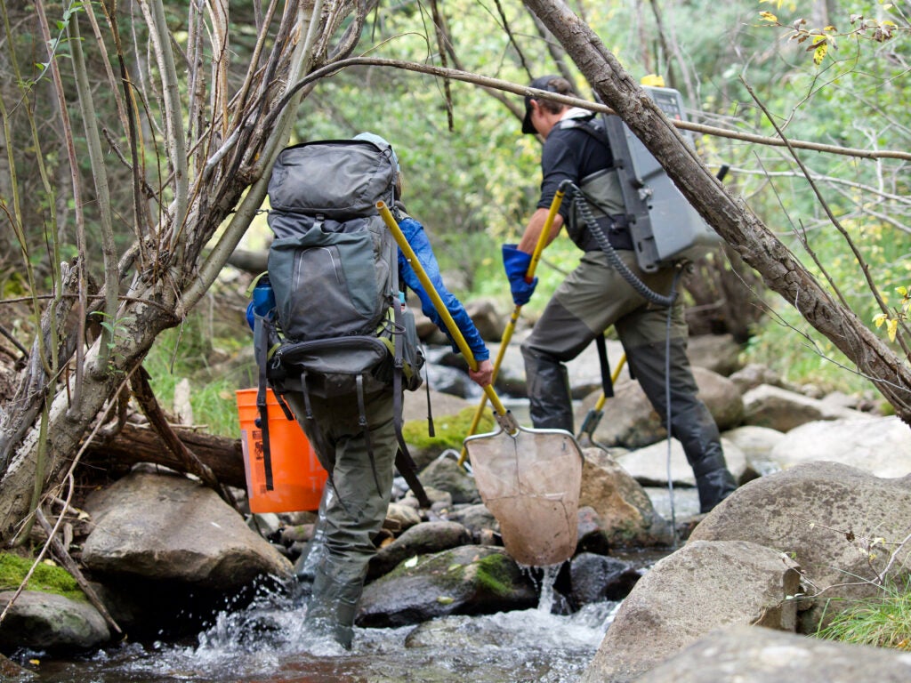 two biologists with nets on small creek