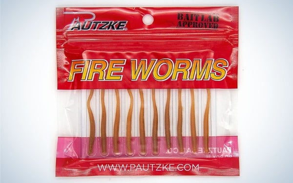 Pautzkeâs Fire Worm
