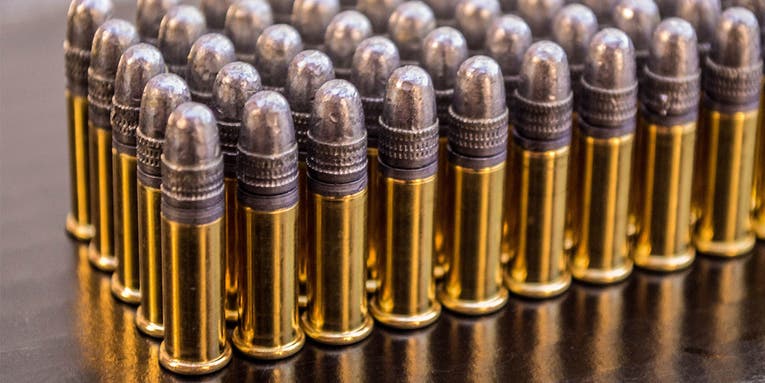 New York Lawmakers Propose Ammunition Tax of Up to 5 Cents Per Round