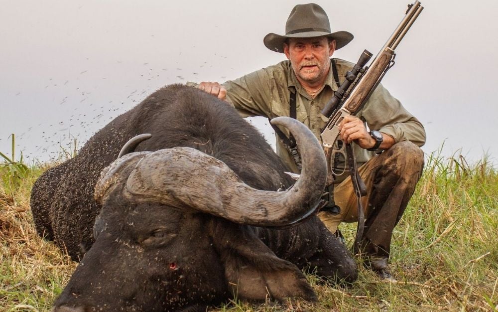 Hunting with cape buffalo