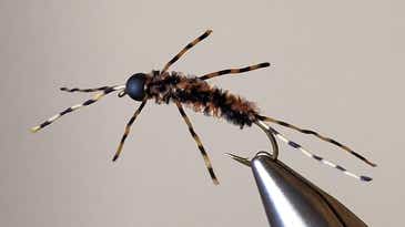 F&S Fly of The Week: The Pat’s Rubber Legs