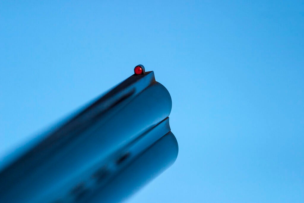 photo of a shotgun bead