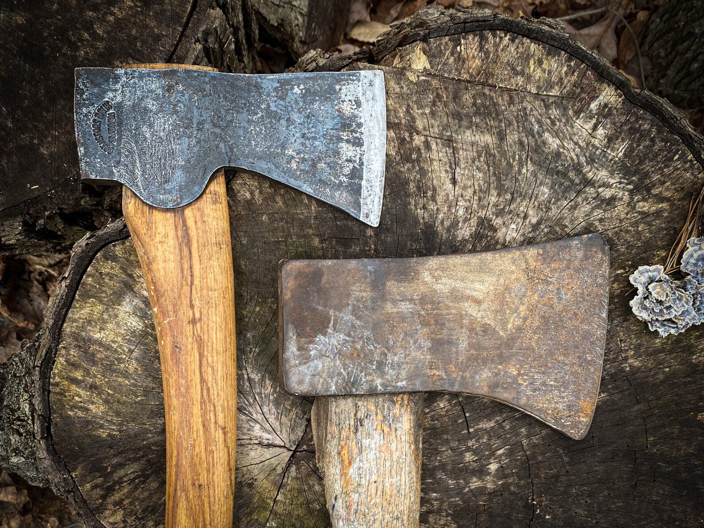 A cared for axe next to a neglected axe, How to Sharpen an Axe