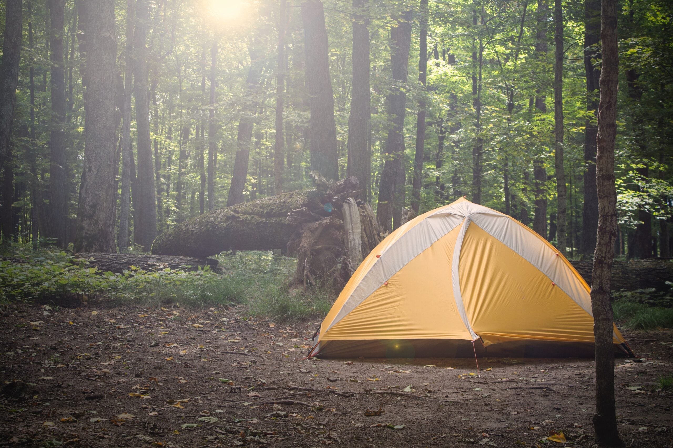 The Best Camping Tents for 2023 | Field & Stream